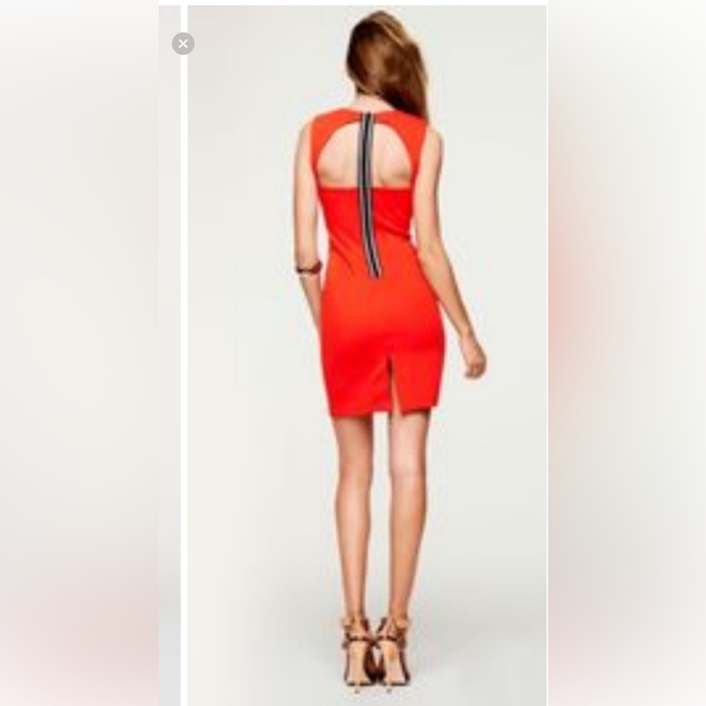 Fashion Star by Express Vibrant Orange Mini Dress
